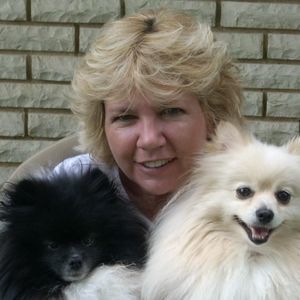 Meet your Posher, Robin